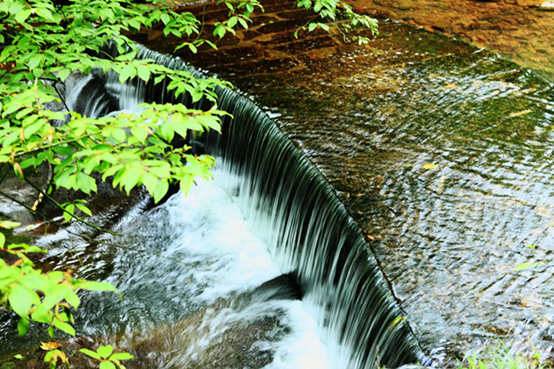 爸爸:五一我們就去碧峰峽動物園吧