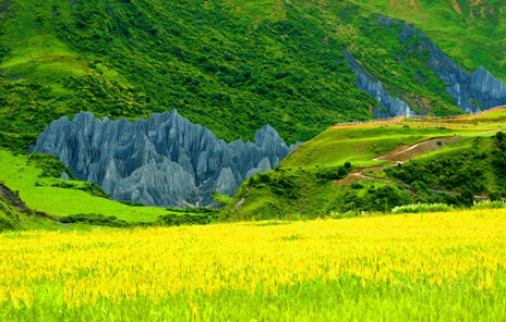 八美 盤點(diǎn)五一假期旅游好去處