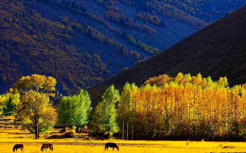 秋游正當時!成都租車旅游選哪一條?