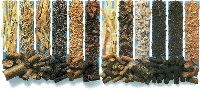 影響生物質燃料顆粒設備出料口因素？